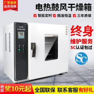 箱式干燥設(shè)備_鼓風(fēng)干燥箱電熱恒溫小型烘箱靜音實(shí)驗(yàn)室烘干箱工業(yè)烤箱老化烘干機(jī)